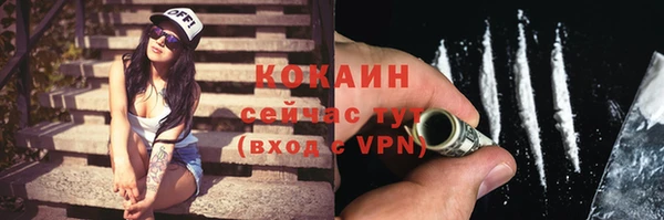 шишки Абинск
