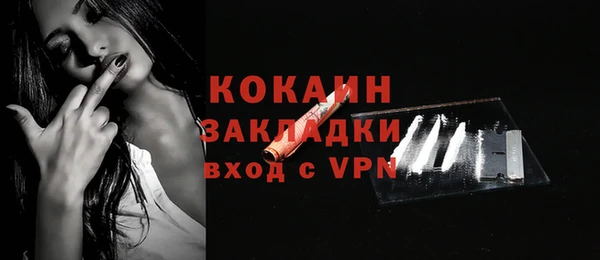 шишки Абинск