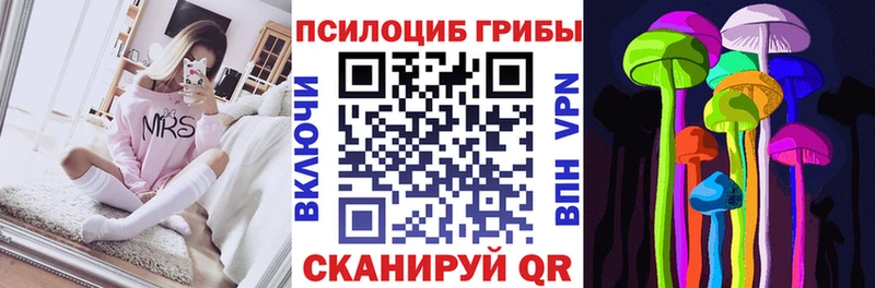 kraken ссылки Чердынь Псилоцибиновые грибы Psilocybine cubensis
